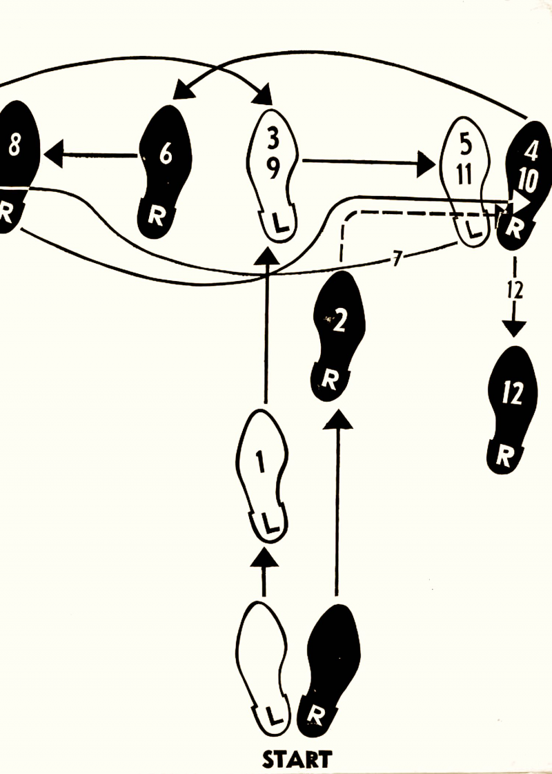 Dance diagram [2]: Fox Trot, the double twinkle man
