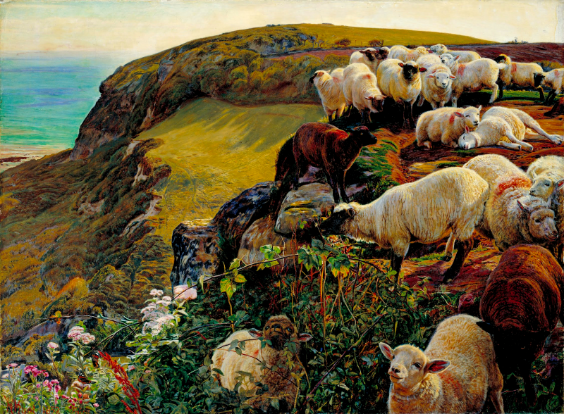 Our english coasts (strayed sheep)
