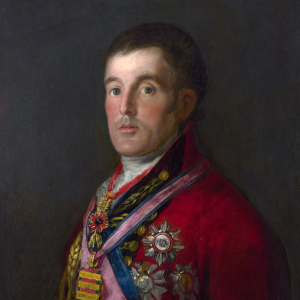 Retrato del duque de Wellington