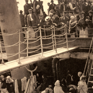 The Steerage