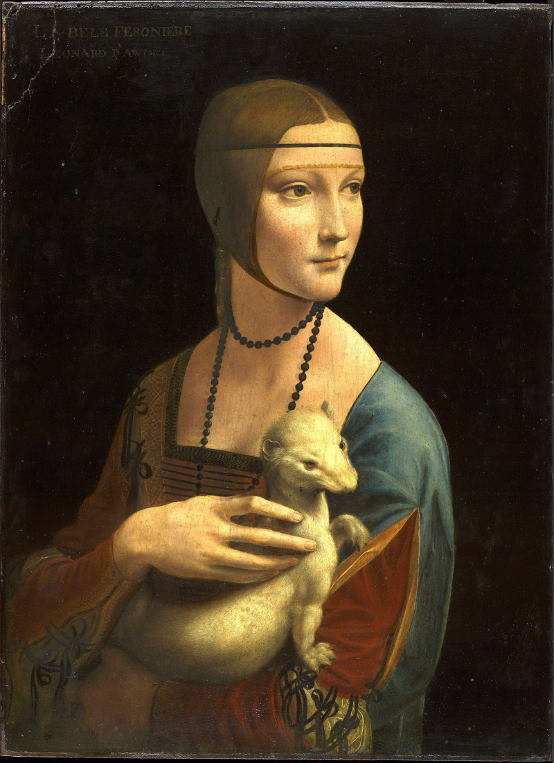 Recuerdo Desnudarse Guardería La dama del armiño - Leonardo da Vinci - Historia Arte (HA!)