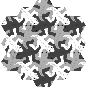 Los lagartos de Escher