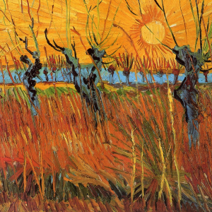 Terraza De Café Por La Noche Vincent Van Gogh Historia